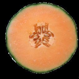 来例假吃哈密瓜好吗,“经期女性食用哈密瓜的适宜性探讨”