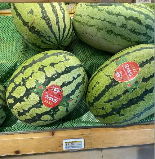 大瓜吃小瓜,揭秘生态链中的生存法则